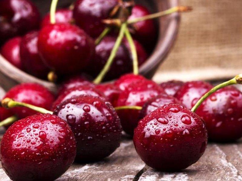 Вишня купить саженцы из питомника в Кимрах